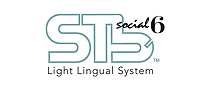 STb light lingual system